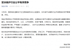 平台通过补助快速获取用户流